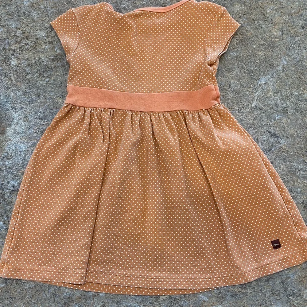 Tea Collection Dress